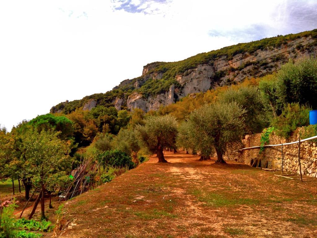 Agriturismo Ca' Magli Orco Feglino Exterior foto